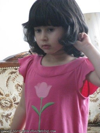 ویستای گل