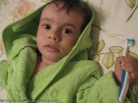 موشی م
