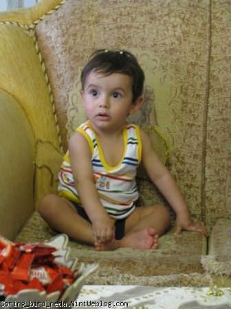 شاه داماد