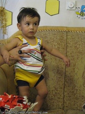 جیگر