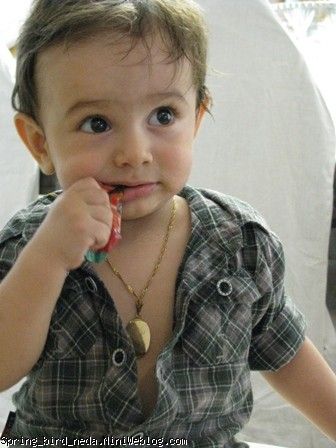 ابوالفضل