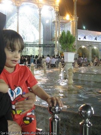 جیگر