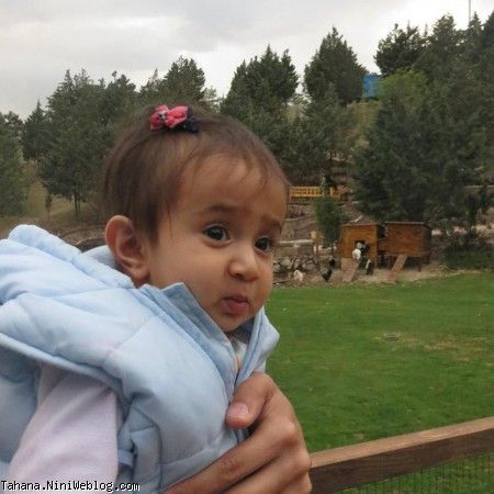 باغ پرندگان