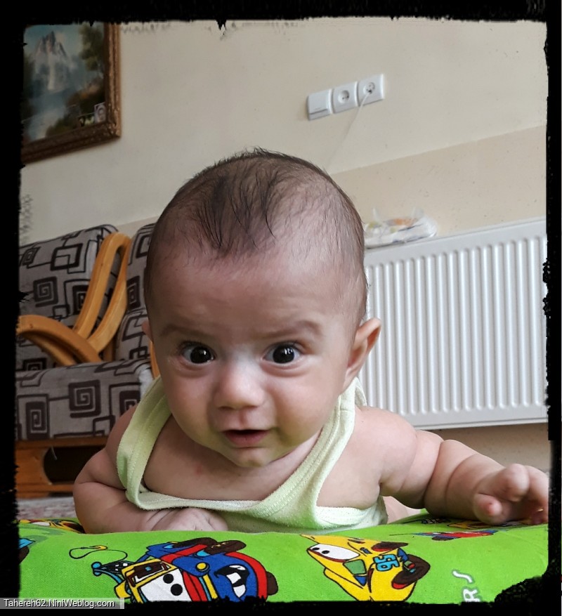 آرمین در۴ماهگی