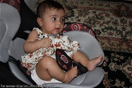 ترنم و صندلی2