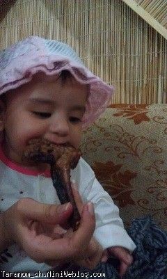 شیشلیک خوران ترنم نی نی