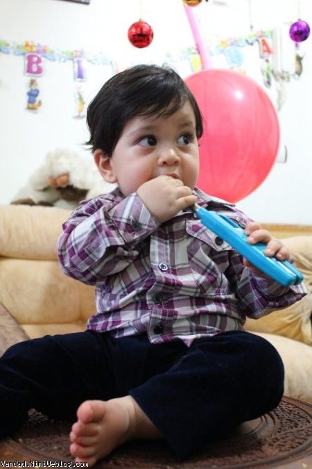 وحالا تولد ونداد گلی