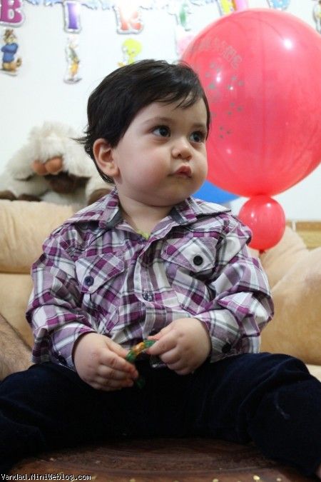 وحالا تولد ونداد گلی