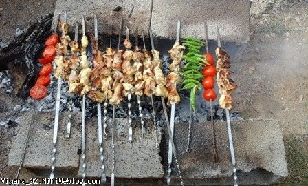 جوجه کباب سیزده بدر