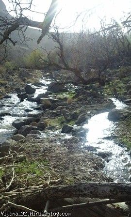 طبیعت