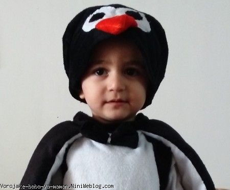 تولد 2 سالگی وروجک بابا و مامان با تم پنگوئنی