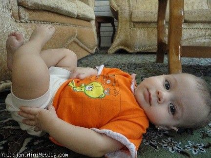 بدون شرح