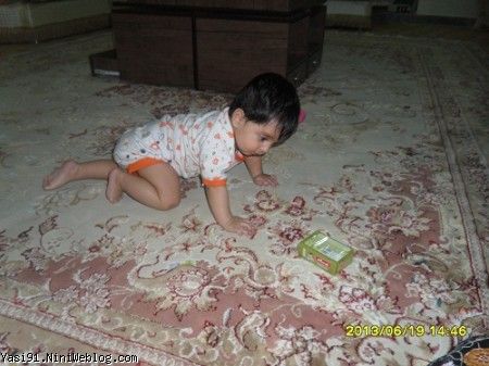 چهار دست و پا