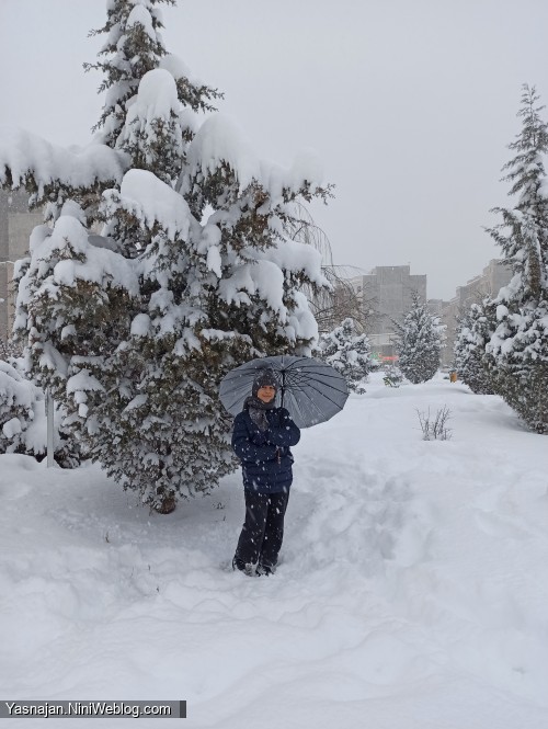 روز برفی زیبا