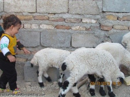 یزدان و ببعی ها