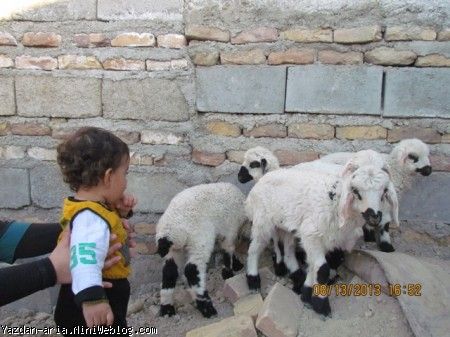 یزدان و ببعی ها