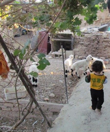 یزدان و ببعی ها