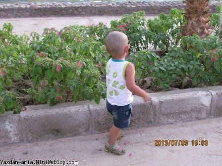 یزدان در حال چیدن گل