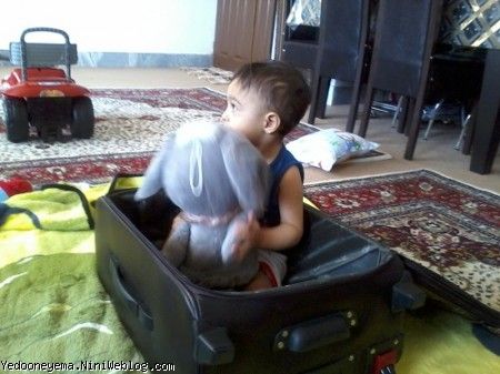 قبل از سفر مادر جونینا به مجار رفتی نشستی توی ساک!! تا شاید تو هم باهاشون بری