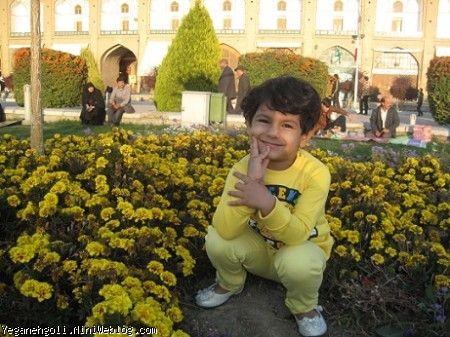 یگانه در میدان امام