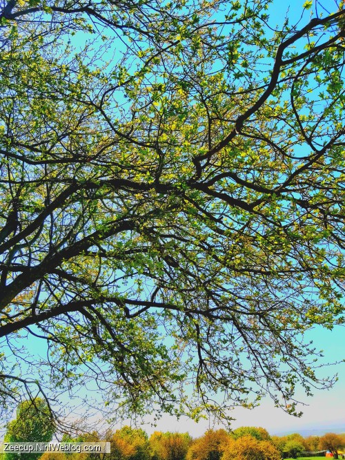 پنجره‌ای به آن روزها 🪟🍃