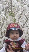 ailen