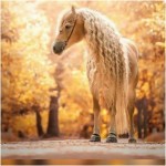 علیرضا و آزاده و عارفه